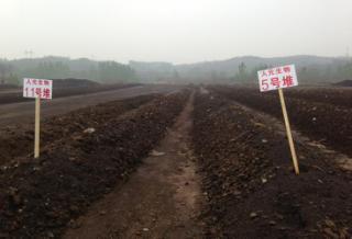 微生物肥料 綠色農業(yè)的新引擎，生物質能技術服務的市場價值