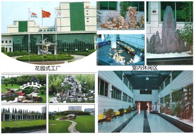 橄欖果酵素飲品OEM代加工一站式服務與技術(shù)咨詢