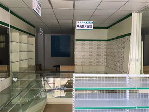 長沙市與深圳市房屋安全檢測機構 技術咨詢與行業(yè)發(fā)展動態(tài)